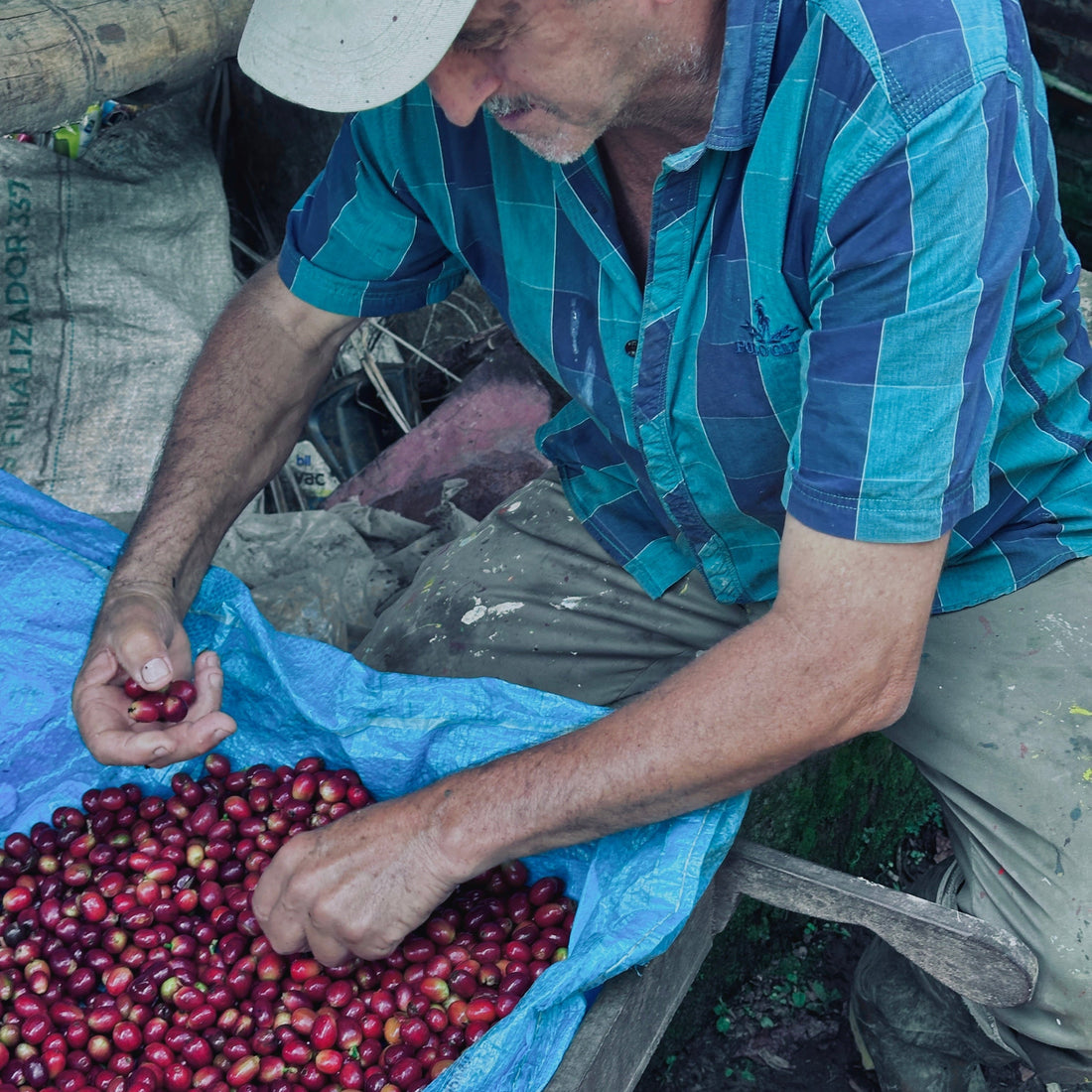 El café que importa: origen, proceso y por qué el ruido sobra