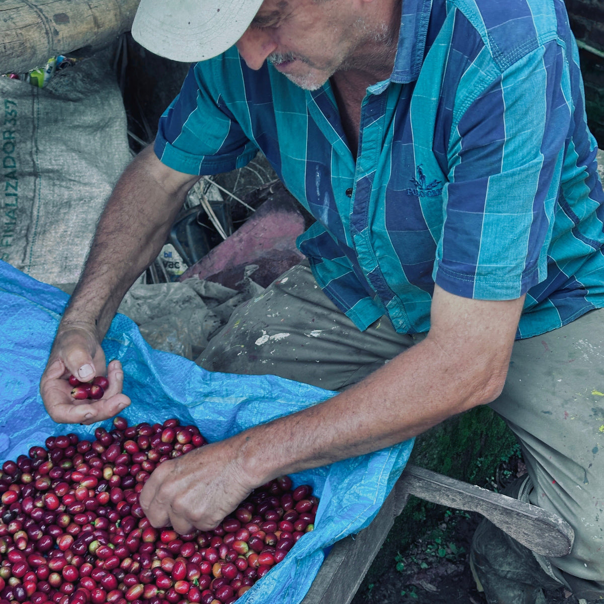 El café que importa: origen, proceso y por qué el ruido sobra
