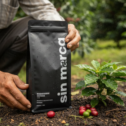 Maria Ines - Sevilla Valle del Cauca